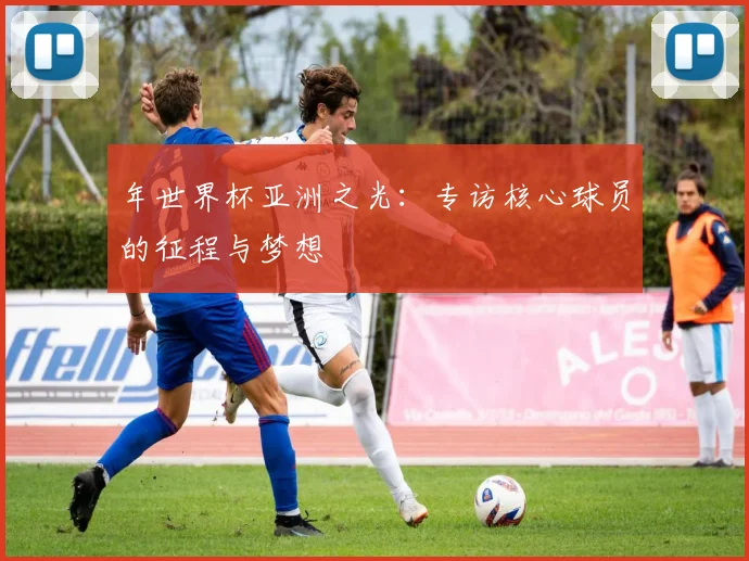 年世界杯亚洲之光:专访核心球员的征程与梦想