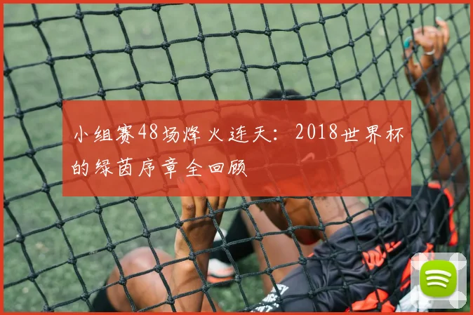 小组赛48场烽火连天：2018世界杯的绿茵序章全回顾