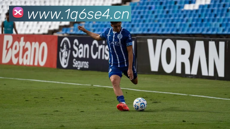 星空官方在线登录入口平台生态图